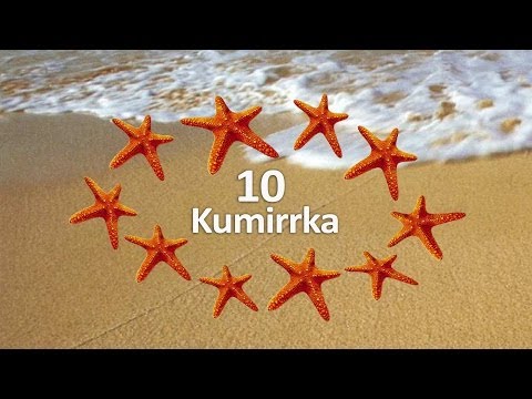 Kaurna for Kids - Numbers