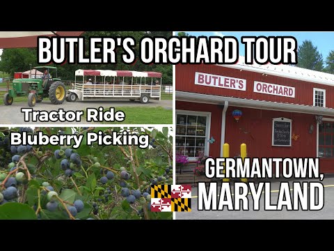Video: Butler's Orchard: A Family Farm i Germantown, Maryland