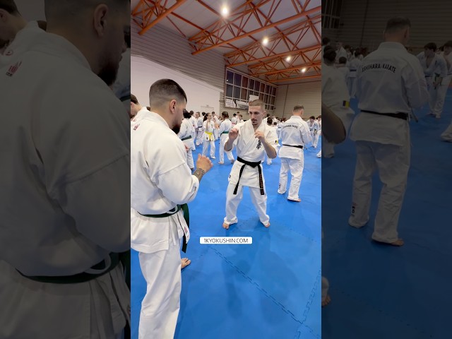 Cristian Boldut Fight Camp 2026 #kyokushin #shinkyokushin #karate #1kyokushin #一極真 #極真会館