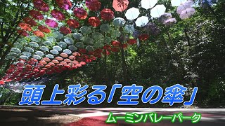 頭上彩る「空の傘」　飯能・ムーミンバレーパーク