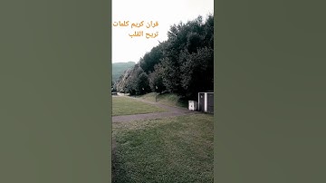 #إسلام_صبحي #explore #nature #تلاوة_هادئة #beautiful #خواتيم_سورة_المؤمنون #سورة_المؤمنون #قرآن_كريم