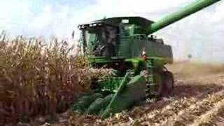 Test Plot Harvest