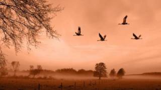 One Of Us Is Going Down (Original)