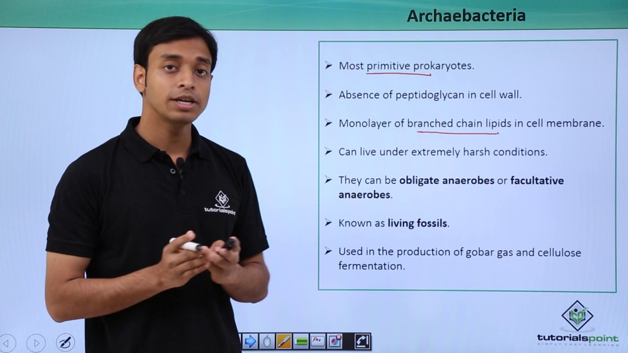 11-й класс – Архебактерии – Введение | Биологическая классификация | Учебные материалы