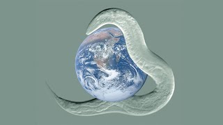 Nematodes: The Worms That Rule Earth