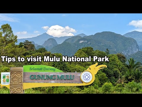 Tips to visit Mulu National Park - Sarawak