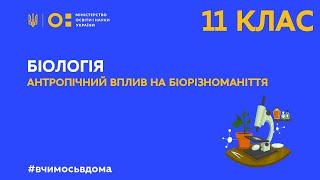 11 клас. Біологія. Антропічний вплив на біорізноманіття (Тиж.3:ВТ)