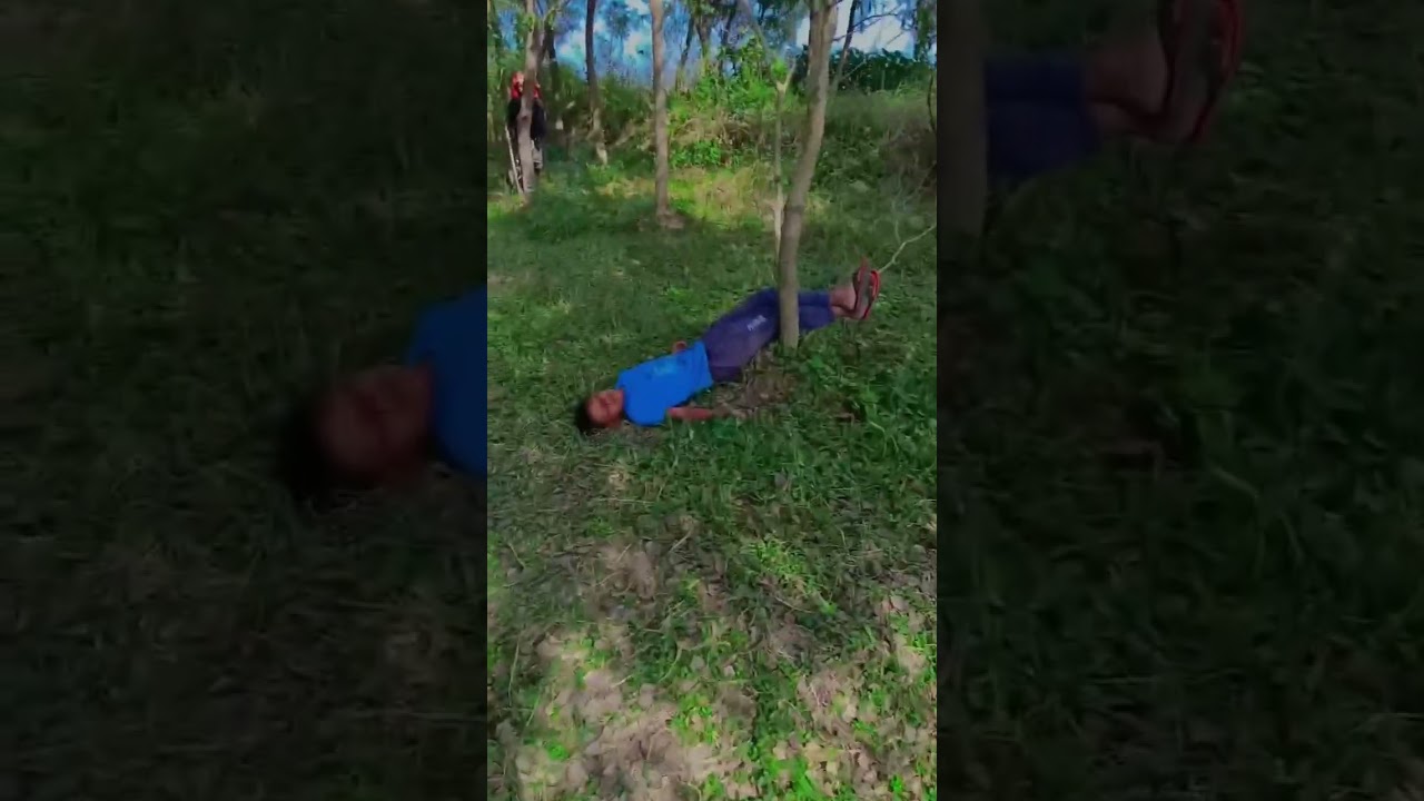 new,video, dangras,video,Kaif,boss,jungal video,😈😈😈😈