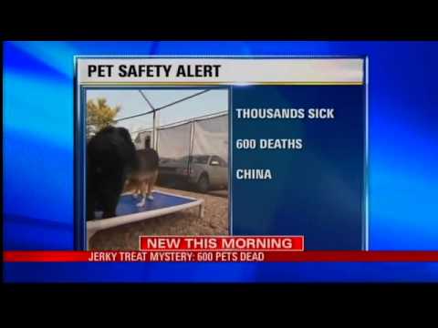 वीडियो: पेट स्कूप: जेरकी ट्रीट्स से लगभग 600 पालतू मौतें हुईं, एंडियन बियर हेट पापाराज़ी