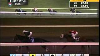 Turfway Park 01142016 Race 9