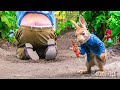 Il coniglietto birichino prende in giro il vecchio contadino arrabbiato | Peter Rabbit 🔥 4K