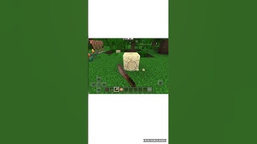 Brush Can Brush the Sand