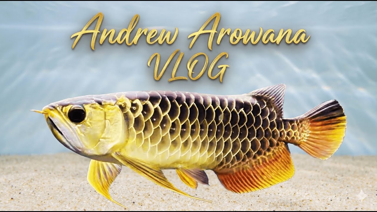 Blue Base Crossback VLOG-Week 90(2026/1/11) Feeding | Water Freezing No Changing