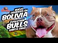 Evolution bulls en santa cruz bolivia  la ruta bulls internacional