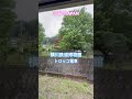 今日のJAPAN Japan Today 再度挑戦でやっとトロッコ電車に乗る(^_^;)#japan