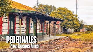 PEDERNALES: entre el silencio y las vías.
