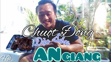 ✅Chuột Đồng Đặc Sản An Giang món ngon từ thịt Chuột