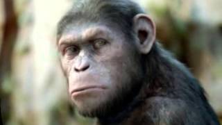 Download Lagu Aku Jatuh Cinta - Broery Marantika ( ndeds Album ) MP3