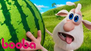 👀⭐️ Summer's Here! 🍉☀️ Booba Cartoon Collection