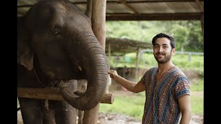 Tayland&#39;da fillerle bir gün geçirmek! Chiang Mai Jungle Elephant Sanctuary | Vlog 8