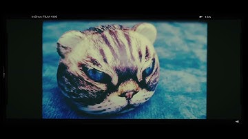 Free Flutes _ Bio Moped 