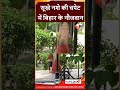 Bihar News: Patna में सूखे न'शे का बढ़ता चलन, गांधी मैदान में युवा कर रहे सॉल्यूशन का सेवन