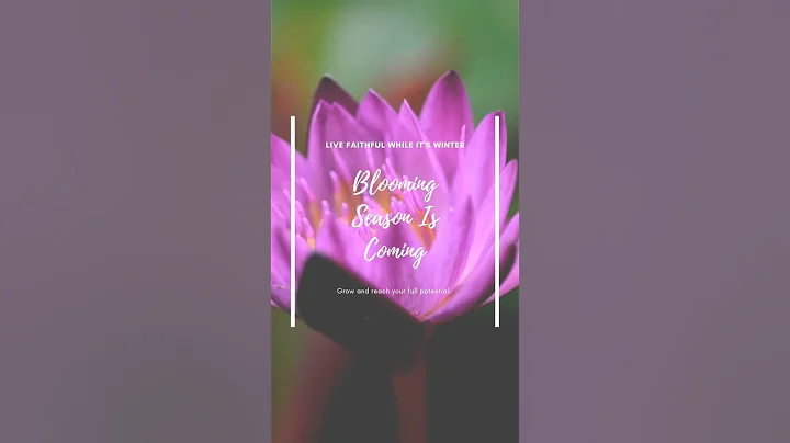 Type "AMEN"  #bloom #jesus #hope #wednesdaymotiva....