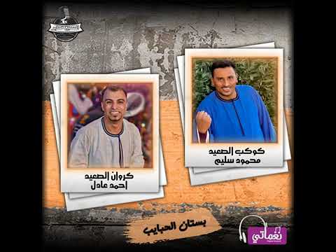 محمود سليم بستان الحبايب