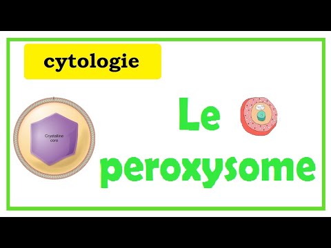 Vidéo: Le Paradigme Du Modulateur Sélectif Des Récepteurs Activés Par Les Proliférateurs De Peroxysomes (SPPARMα): Cadre Conceptuel Et Potentiel Thérapeutique