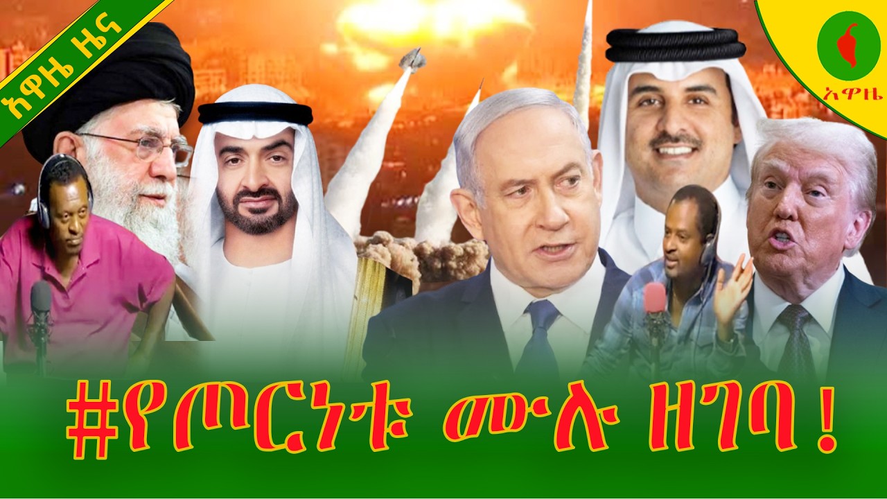 Alemneh Wasse  የጦርነቱ ሙሉ ዘገባ