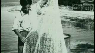 The History of Southwest Florida: Sanibel - The Untold Stories Part 2