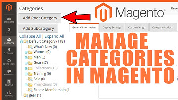 How to Manage Categories in Magento?