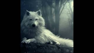 White Wolf Guided Meditation for Empaths & Healers