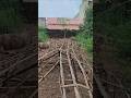 Imli Bhathha Mahasamund | Dussehra 2025 Preparations #chhattisgarh #yt #ytshorts