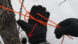 How to Tie the Siberian Hitch | Leave Your Gloves On! by TheTautLine 1,728 views 1 year ago 59 seconds