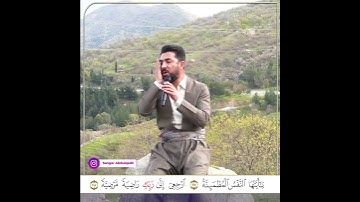 سورة الفجر | اية 27 الي 30 بصوت القارئ سنكر عبدالقادر الكردي