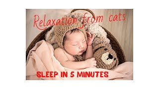 Baby lullaby/ the baby fell asleep in 5 minutes/music for sleep/relaxation from cats.