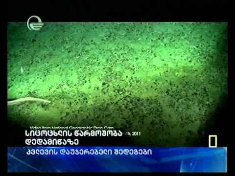 სიცოცხლის წარმოშობა დედამიწაზე