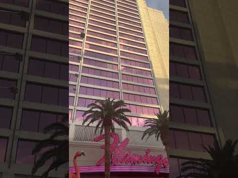 Viejas casino