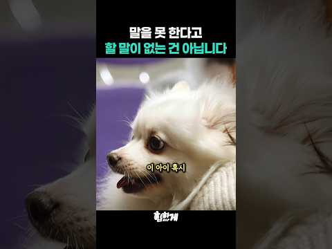 말하지 못할 뿐, 행동에는 모두 이유가 있습니다