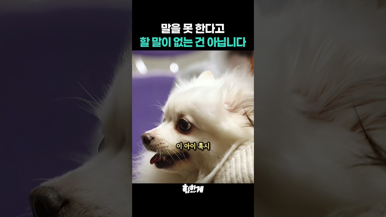 말하지 못할 뿐, 행동에는 모두 이유가 있습니다 썸네일