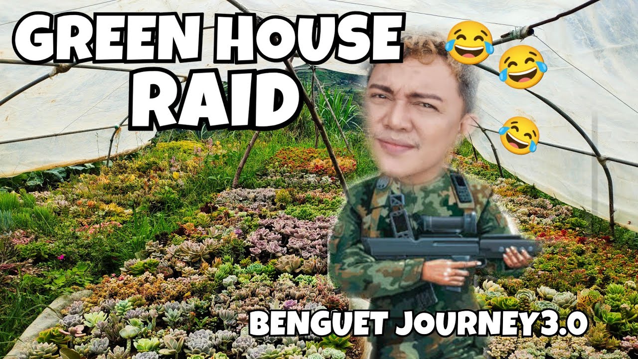 GREEN HOUSE RAID | SUCCULENTS PLANT PROPAGATIONS IN BENGUET JOURNEY 3.0