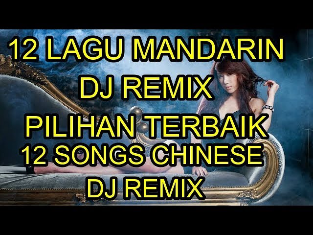 12 Lagu mandarin DJ Remix Pilihan Terbaik chinese DJ歌曲 class=