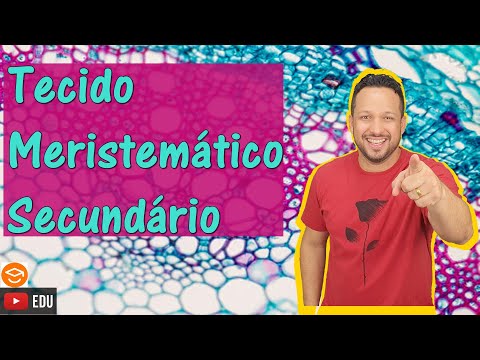 Vídeo: Do que é feito o tecido meristemático?