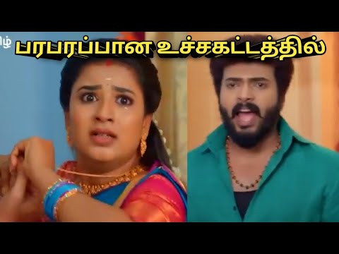Karthikai deepam serial promo review May 02