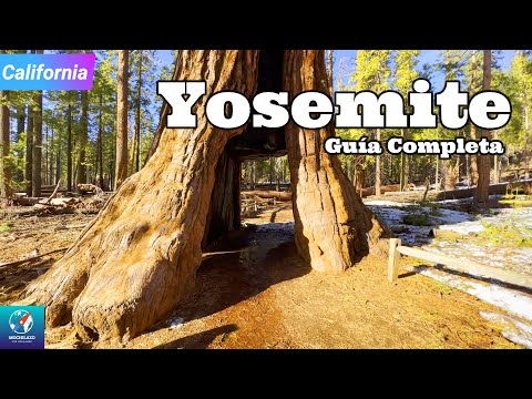 YOSEMITE National Park: Cómo llegar, Dónde Hospedarse, Cómo recorrerlo | #California 4 hqdefault