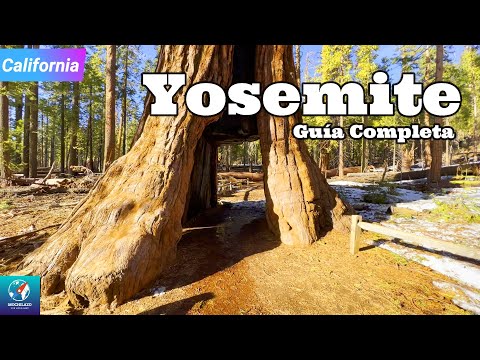 Video: Hoteles en el área de Yosemite a lo largo de la autopista 140: El Portal, Midpines, Mariposa