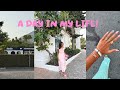 A DAY IN MY LIFE MARBELLA EDITION 