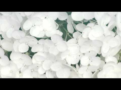 [everysing] じゃあ、何故