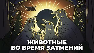 Как животные реагируют на затмения? [Минутка Земли]